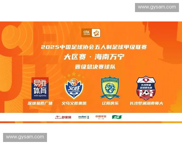 2017赛季中国足球乙级联赛全面回顾与各支球队竞争格局深度分析